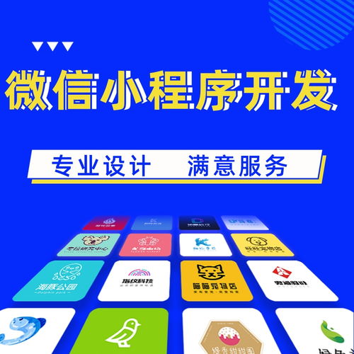 晉城軟件開發(fā)公司限時優(yōu)惠，華陽科技助力網(wǎng)站建設與推廣